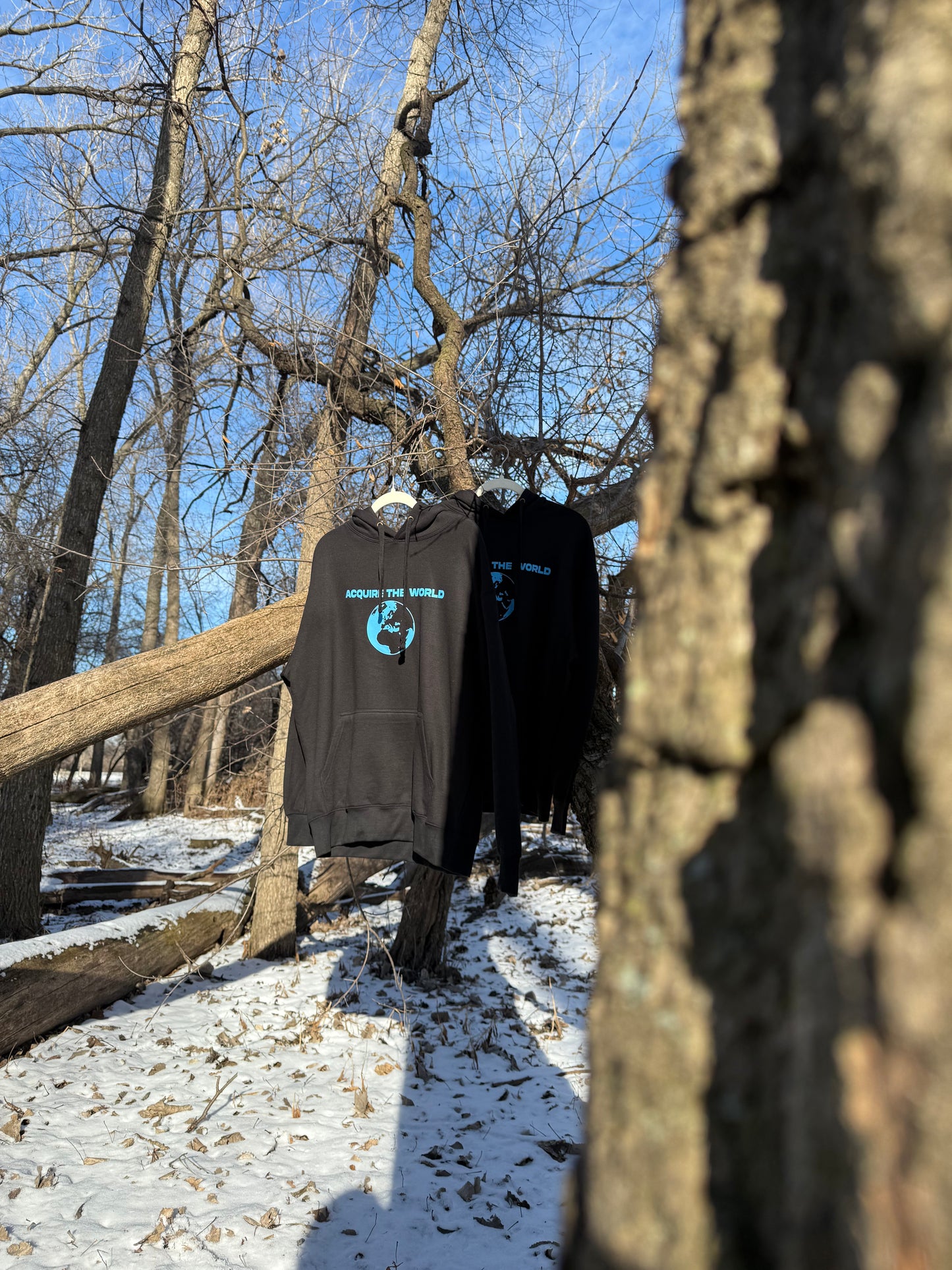 Acquire The World Hoodie